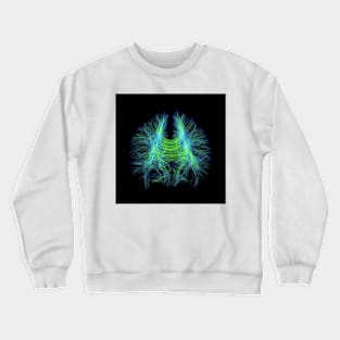 Brain fibres, DTI MRI scan (C017/7099) Crewneck Sweatshirt